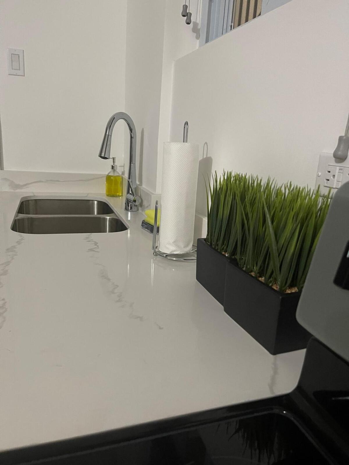 Lux City Apartment With Pool, Ac & 24Hrs Security Kingston Eksteriør billede